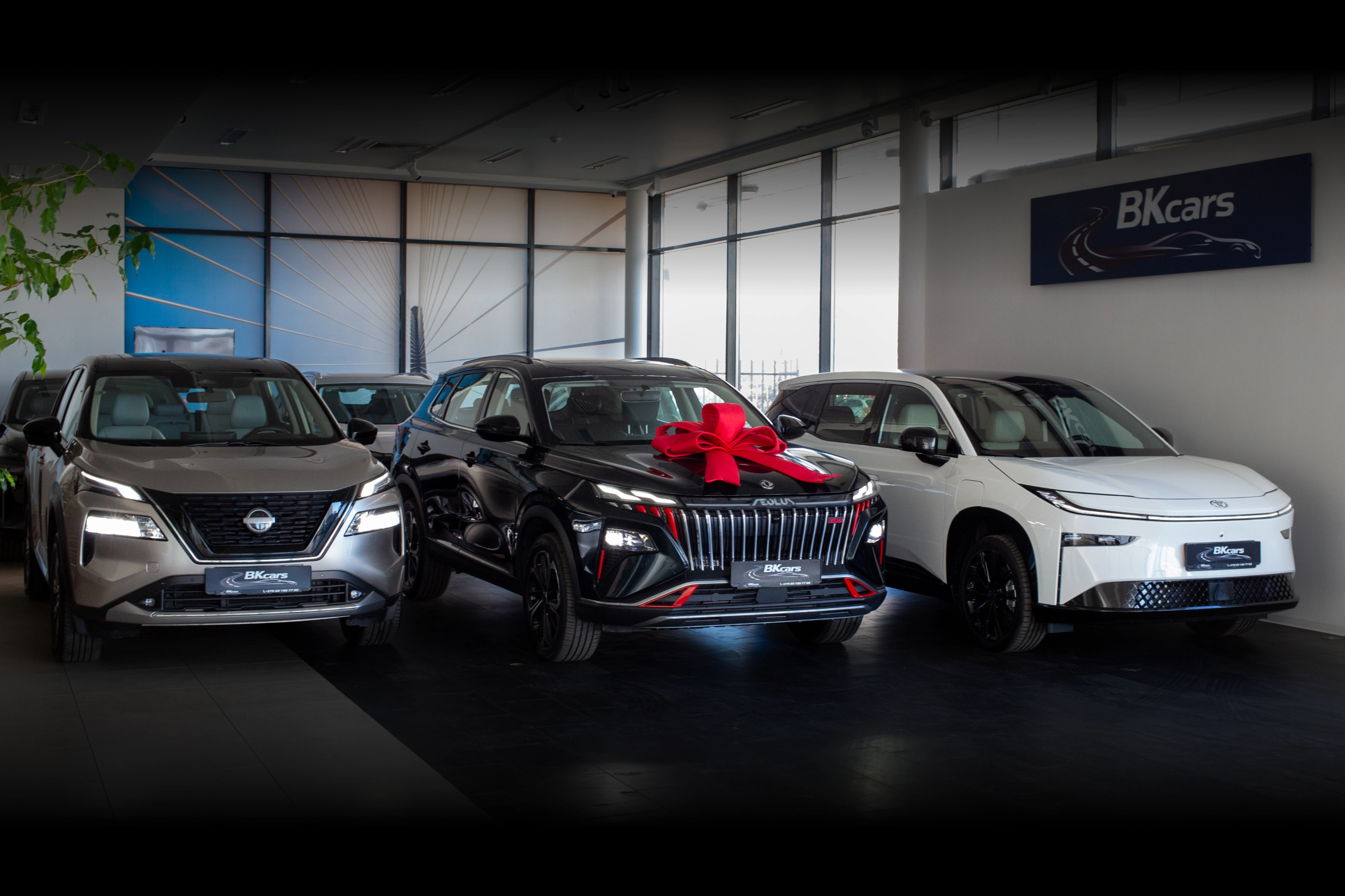 15 лет в индустрии: Как автосалон BKcars создает сервис, в который возвращаются